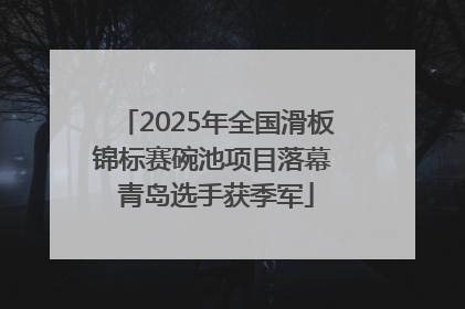 2025年全国滑板锦标赛碗池项目落幕 青岛选手获季军
